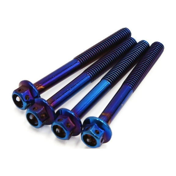 Unique Bargains 4Pcs Colorful Titanium Alloy Motorcycle Hexagon Bolts Screws Fastener M6 x 55mm