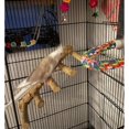Curated visual reference: Australian Parrot Cage With Ladder Reference: Bird Parrot Ladder Perch For Cage Nature Wooden Bird Bridge