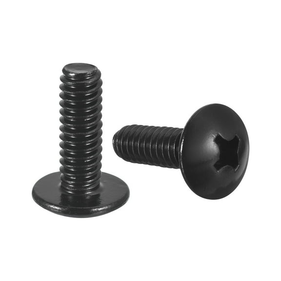 1/4-20 x 3/4" Truss Head Phillips Machine Screws, 304 Stainless Steel 18-8, Black Oxide Finish, 10 Pack