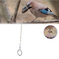thumbnail image 1 of Silver Color Birds Anklet Birds Birds Training Harness Avoid Birds Flying Away for Poultry Bird ANGGREK Otros, 1 of 8