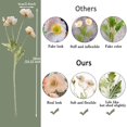 thumbnail image 6 of MINKUROW Artificial Flowers 5Pcs Poppies Flowers Artificial Silk Flowers for Home Office Wedding Outdoor Decor (Champagne), 6 of 6