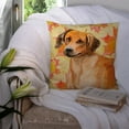 thumbnail image 3 of Carolines Treasures BB9937PW1414 Rhodesian Ridgeback Fall Fabric Decorative Pillow 14Hx14W multicolor, 3 of 4