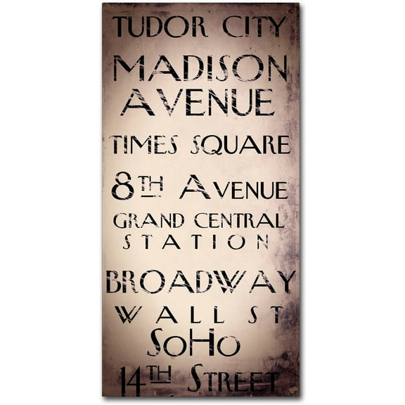Trademark Fine Art "New York City II" Canvas Art by Color Bakery