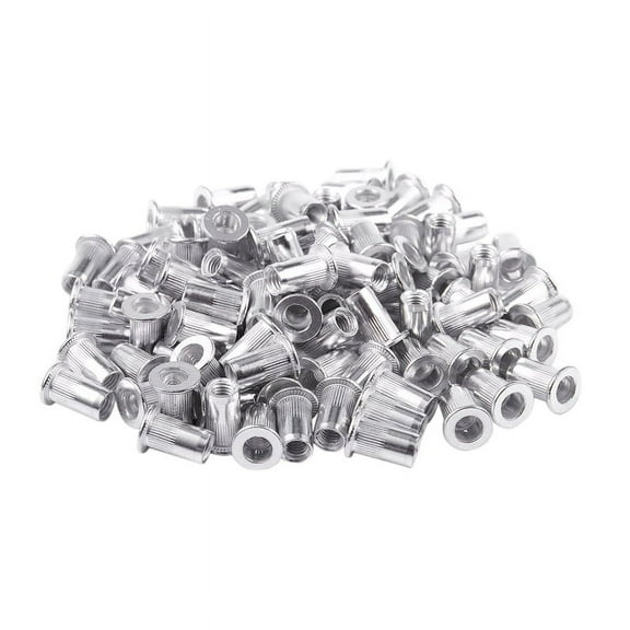 100 x Rivet Nut-Silver
