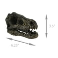 thumbnail image 4 of Velociraptor Dinosaur Head Fossil Statue Small 6.25 Inches Long, 4 of 4