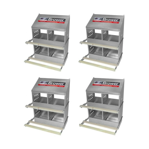 Brower Galvanized Steel 4 Hole 20 Bird Nest Chicken Brooding Box (4 Pack)