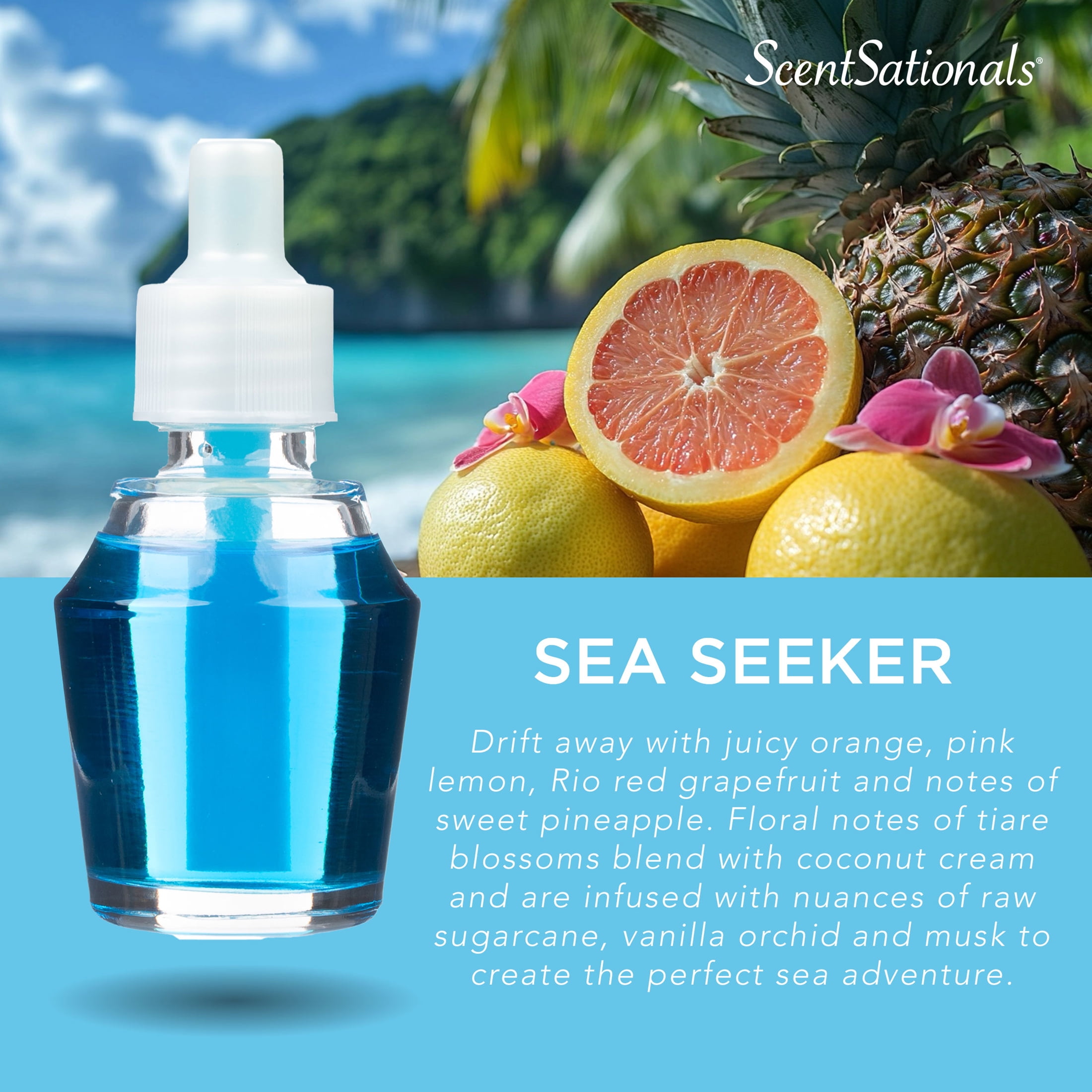 Huile Scent Charm ScentSationals - Sea Seeker