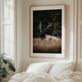 thumbnail image 6 of Resting in the Rockies - Banff Alberta Canada Photography Nature Wildlife Forest Scenic Autumn Rustic Rural Unframed Wall Art Print 22 x 28 inches, 6 of 13