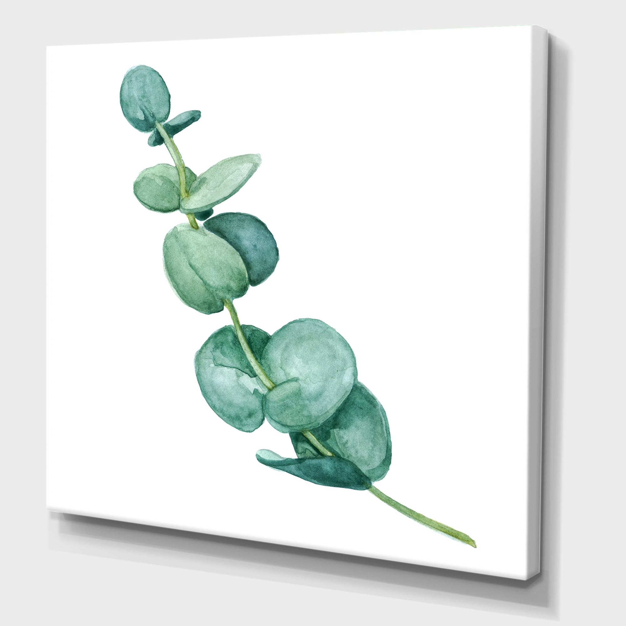Designart ' Young Eucalyptus Branches and Leaves II ' Traditional Canvas Wall Art Print