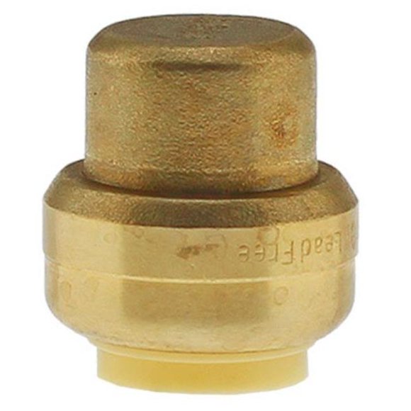 Boshart penl-pfca05 Bouchon de Raccords Poussoirs de 0,5 Po