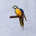 thumbnail image 2 of CafePress - FIN Blue Gold Macaw - Cute Infant Baby Football Bodysuit, 2 of 3