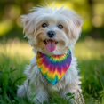 thumbnail image 2 of Dog Bandana 1 Pack,Rainbow Tie Dye Mandala Pattern Bandanas for Dogs,Cat Bandana,Small/ Large Dog Bandana 2 Size,Dog Bandanas, 2 of 6