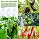 thumbnail image 3 of 80 para Tomates con Cuerda, de Soporte para Tomates, para Soporte de Tomates y Clips de Soporte para Plantas con Cordel de 33,3 Pies, 3 of 5