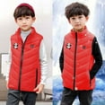 thumbnail image 3 of OGLCCG Kids Heated Vest for Boys Girls Full Zip Sleeveless Electric Heating Jacket Lightweight Stand Collar Warm Heating Gilet 4-15 Years, 3 of 6