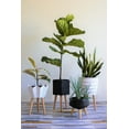 thumbnail image 6 of Hide & Seek Supply 4005 Cole Ceramic Planter with Beech Wood Legs, Sandy Black, 6 of 6