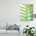 thumbnail image 3 of Trademark Fine Art 'Fern Glow I' Canvas Art by Jason Johnson, 3 of 4