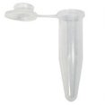 thumbnail image 1 of 400uL Microcentrifuge Tube - Polyethylene - 1000 pk - Natural, 1 of 1