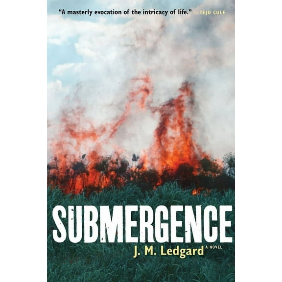 Submergence, (Paperback)