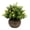 Green-A, variant on Eucalyptus Milan Flower Pot Simulation Flower,Artificial Pot Flowers Small Plants Potted Plants for House Tabletop Decoration Green Plant Pot Plant with Hemispherical Pulp Bonsai