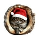 thumbnail image 5 of Colgante Decorativo Adorno navideño plano conmemorativo para mascotas, de acrílico, ideal para decorar el hogar (1 unidad). Rkxzt, 5 of 8