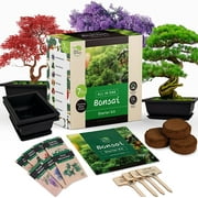 REALPETALED Bonsai Starter Kit Japanese Bonsai Tree Kit with Bonsai Tools, 7 Bonsai Tree Seeds, Pots Complete Grow Your Own Bonsai Tree Live Kit Plant Lover Gifts Home Gifts for Men and Women