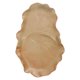 thumbnail image 1 of Maceta de Cerámica de Madera Brasileña, Duradera y Anti-Grietas, para Exposición de Plantas de Madera Brasileña Decoración de Hogar y Oficina, 1 of 5