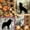 Brown 01, variant on Manfei Autumn Leaf Plaid 7-Piece Twin Bedding,Cartoon Wolf Bedding Comforter Set,Brown,Black Reversible