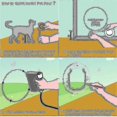 thumbnail image 4 of Pet Door Transparent For Cats Small Dogs Round Cat Flap With Door Liner Kit For Sliding Glass Door, 4 of 4