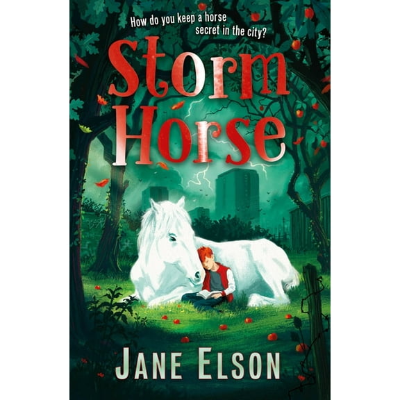 Storm Horse, (Paperback)