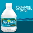 thumbnail image 3 of Zephyrhills Florida Spring Water, 8 fl oz, 12-Pack Plastic Bottles, 3 of 6