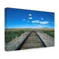 thumbnail image 4 of Trademark Fine Art 'Texas Tracks 2' Canvas Art by Robert K Jones, 4 of 4