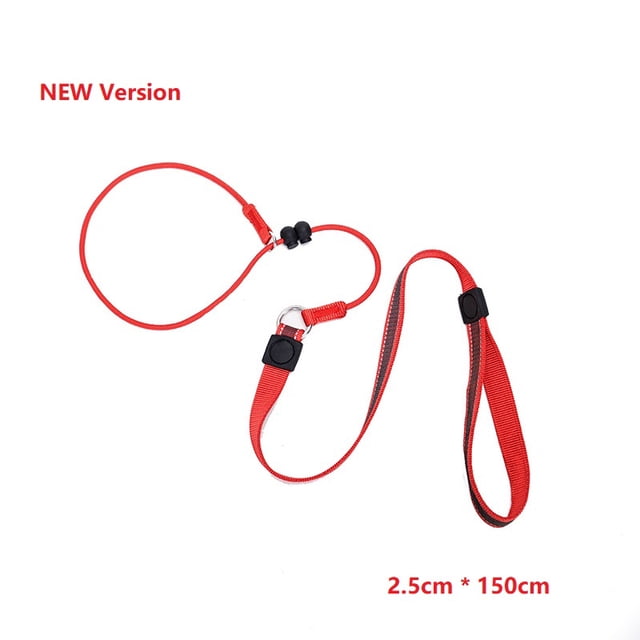Typpkmm Training Dog Choking Rope Leash with 1 Lead Collar 150cm P-Shaped Chain 2 in