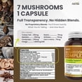 thumbnail image 4 of Herba Mushroom Complex Supplements with Lions Mane - 120 Capsules | Made in Canada, 4 of 9