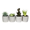 thumbnail image 1 of Vickerman VICK-FV192246 Vickerman 6" Green Potted Succulent 4/Pk Asst - FV192246, 1 of 3