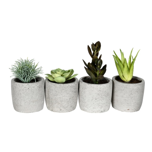 Vickerman VICK-FV192246 Vickerman 6" Green Potted Succulent 4/Pk Asst - FV192246