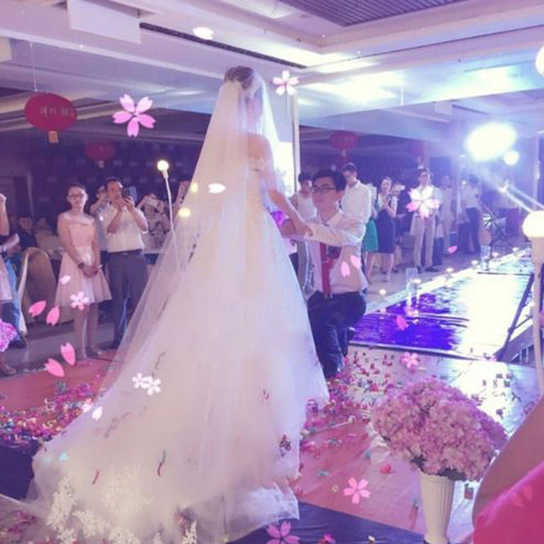 Meihuida Layers Wedding Bridal Veil Lace White/Ivory Cathedral Length Birdcag Edge Bride