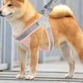 thumbnail image 5 of teapwant Laisse Réfléchissante en Forme de Selle pour Chien Compatible avec Sangles de Marche et de Nuit, 5 of 5