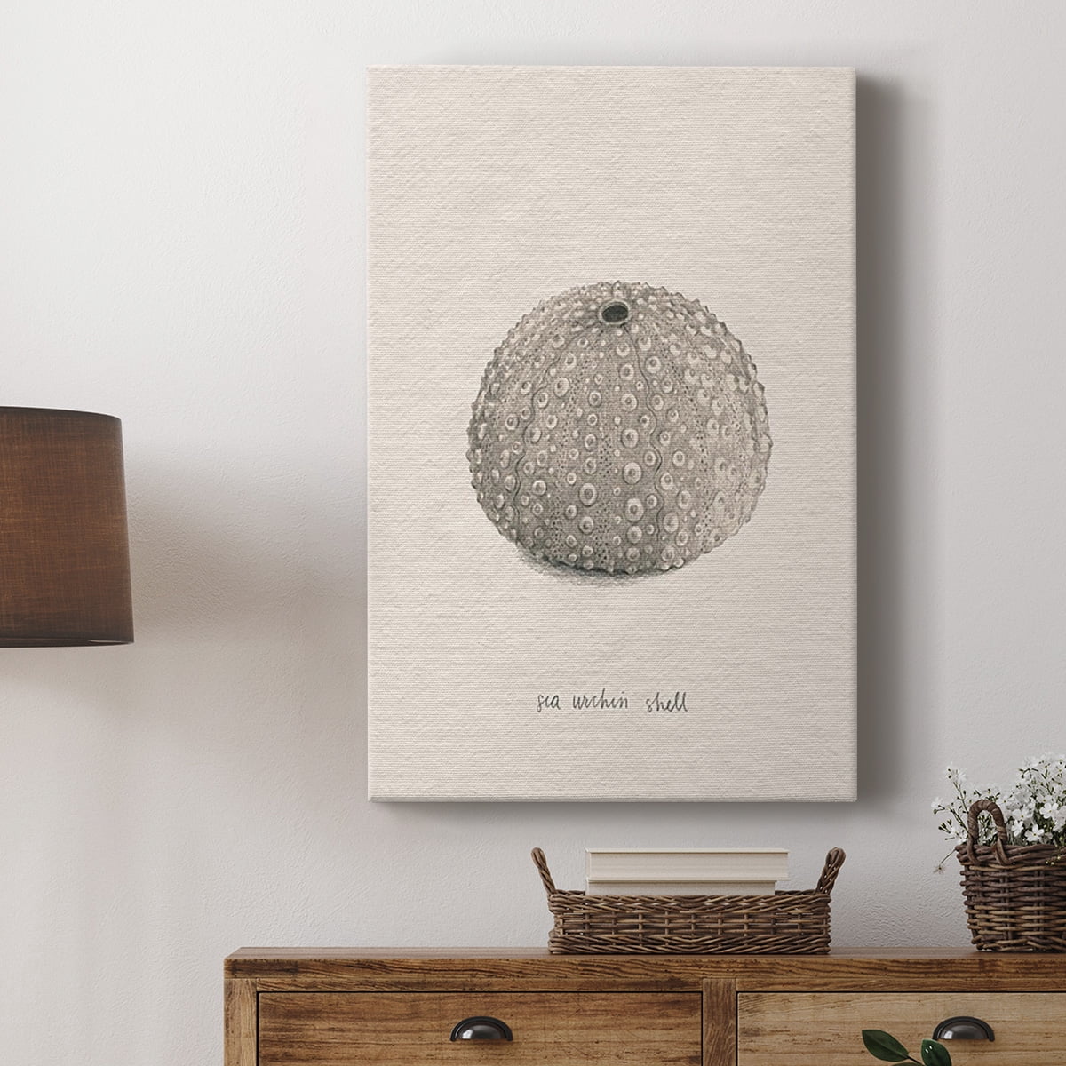 Shore Treasure Study I Premium Gallery Wrapped Canvas - Ready to Hang