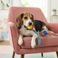 thumbnail image 3 of Oodles Durable Knotted Rope Dog Toy Set, Multicolored, Large, 3 of 10