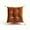 Coffee, variant on Square Seat Cushion Chair Pads for Kitchen Dining Chairs, Soft Comfort Velvet Chair Mat Pillow Cushions with Ties for Office Desk Living Room Tatami,17X17 in （Green）