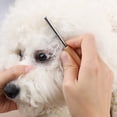 thumbnail image 2 of Daily Use Grooming Comb Wear-resistant Dog Fur Comb Compact Dog Hair Comb Pet Supply, 2 of 9
