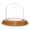 Oak Veneer Base, variant on Plymor 2.5" x 2.5" Small Glass Display Dome Cloche (no Base)