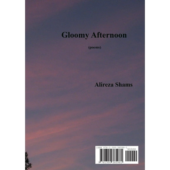 بعد از ظهر غمگین (Paperback)