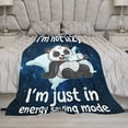thumbnail image 6 of Cute Panda Blanket Funny Panda Decor Animal Throw Blanket Panda Gifts for Girls Boys Super Warm Soft Plush Lightweight Fleece Flannel Blanket Winter Couch Bedding Blanket for Kids Adults Women 60"x80", 6 of 6