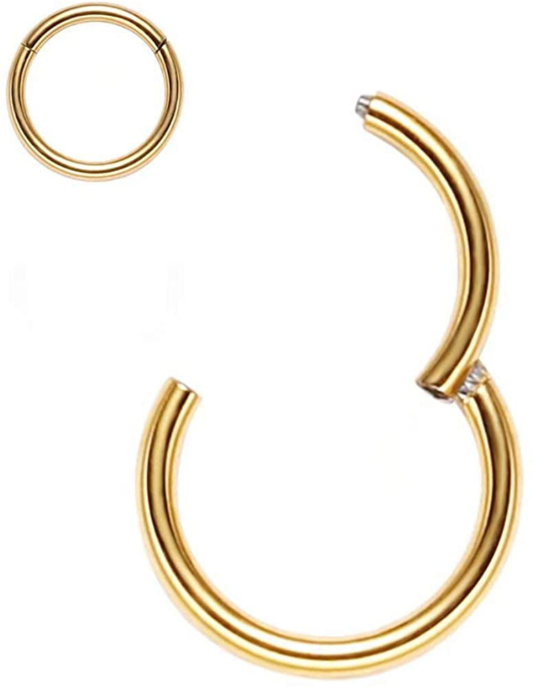 Gold/Silver/Black/Rose Gold/Rainbow Color Afftiny Nose Ring Septum Hoop 20G/18G/16G/14G/12G 316L Surgical Stainless Steel Hinged Seamless Earrings Diameter 5MM-16MM 