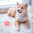 thumbnail image 4 of LEEYNEER Talking Pet Buttons Pink PP Communication  Home Use 1Set, 4 of 5