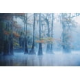 thumbnail image 2 of H., Aijing 18x13 Gold Ornate Wood Framed with Double Matting Museum Art Print Titled - Foggy Swamp Morning, 2 of 4