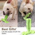 thumbnail image 2 of Dog Toothbrush Dog Toy Chew Toy Rubber Teeth Cleaning Dog Toothbrush Stick Durable for Small Dogs, 2 of 5