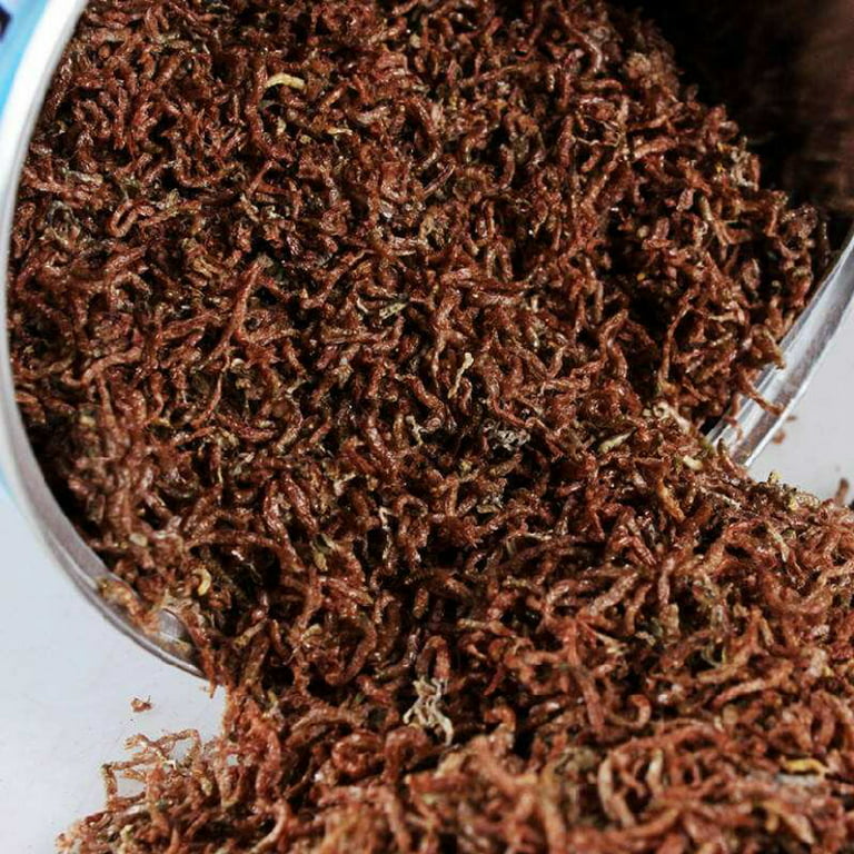 BroBass Freeze Dried Blood Worms for Fish - Aquarium Bloodworms  Fish Food for Freshwater and Saltwater - Blood Worms for Tropical Fish,  Betta, Goldfish, Cichlid, Guppy (0.21 oz) : Pet Supplies