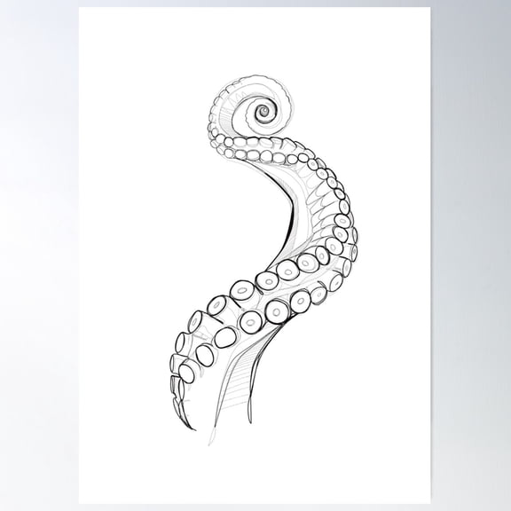 Graphic Octopus - Artistic Sketch Style Illustration Poster Wall Art, Modern Wall Decor For Living Room Bedroom, 8x12 UNFRAMED